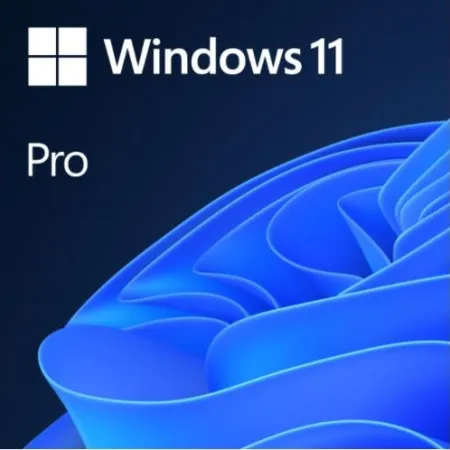 Microsoft Windows 11 Pro Türkçe Oem (64 Bit) FQC-10556