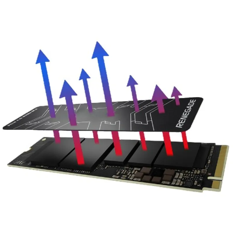 Kingston Renegade 1TB M.2 NVMe (7300-6000MB/s)