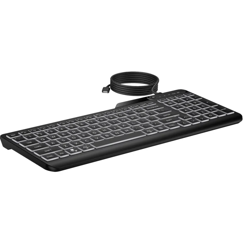HP 405 Kablolu Klavye Siyah (7N7C1AA)