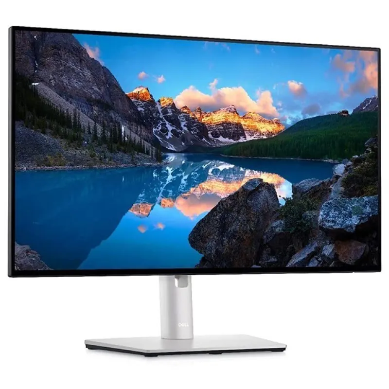 Dell Ultrasharp U2424HE 23.8'' 5m Type-C Pivot IPS